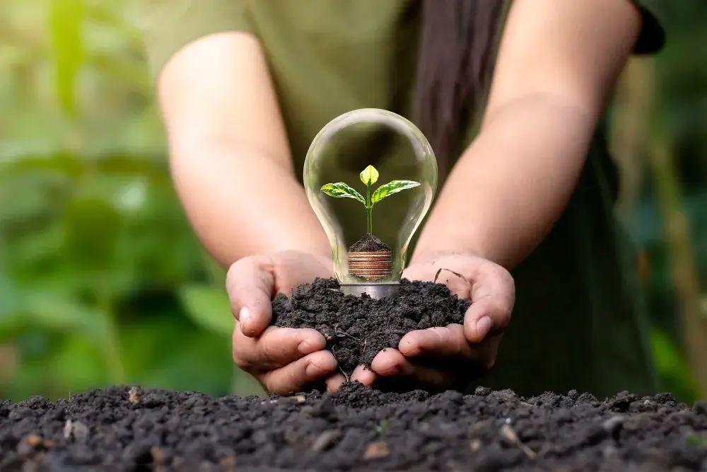 Certificación en norma ISO 14001